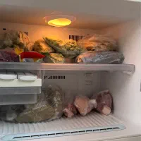 یخچال ال جی|یخچال و فریزر|رشت, پارک شهر|دیوار