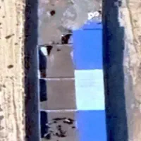 زمین کشاورزی حاصلخیز بهمراه دامداری ۳۰۰ راسی|فروش دفتر صنعتی، کشاورزی، تجاری|سمنان, |دیوار