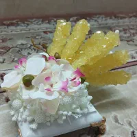 شاخه نبات عروس|صنایع دستی و سایر لوازم تزئینی|تهران, شمیران‌نو|دیوار
