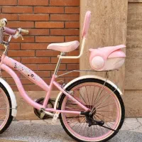 دوچرخه دخترانه سایز ۲۰