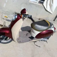 موتور پاکشتی اسکوپی(ژاپنی هوندا)|موتورسیکلت|میمند, |دیوار