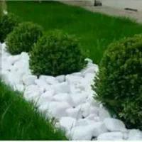فروش زمین ۱۰۰۰متری سندملکی به صورت اقساطی