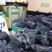 زغال انگور و سنتی وصنعتی کبابی بابرش و بدون برش