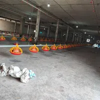 نیرو کار /کارگرساده/ کارمرغداری گوشتی