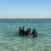 تور‌ غواصی لارک و هنگام