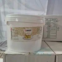 کرمفیل و کرم مغزی کنست