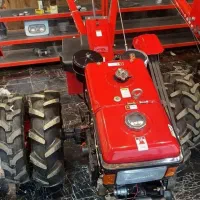 برنج کشت اول۳۰۰