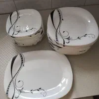 سرویس آرکوپال۲۴نفره(بشقاب وپیش دستی ودیس)