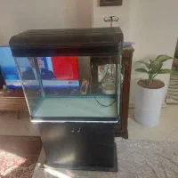 فروش اکواریوم با و سایل|ماهی|ری, ولی آباد|دیوار