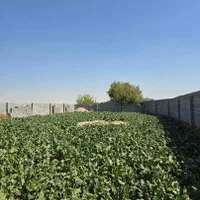 باغ 700متری، چهار دیواری،معاوضه با ماشین|فروش زمین و ملک کلنگی|اصفهان, مرکز همایش|دیوار