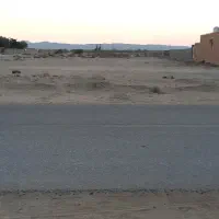 زمین باغی منصور آباد