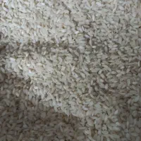 برنج کامفیروزی اصل درجه یک