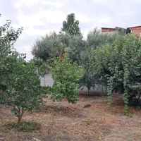 گرگان ملک مسکونی درابتدای روستای نوده ملک بهار پنج|فروش زمین و ملک کلنگی|سرخنکلاته, |دیوار