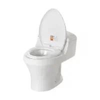 توالت فرنگی آبادیس سرام