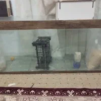 آکواریوم شیشیه