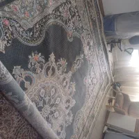 فرش ۲۰متری|فرش|کرمانشاه, |دیوار