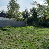 فروش۳۰۰متری/زمین باغی داخل طرح/برجاده/اطراف شفت|فروش زمین و ملک کلنگی|شفت, |دیوار