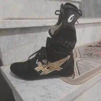 کفش کشتی درحدنو
