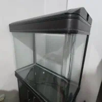 آکواریوم دلسا k800|ماهی|شیراز, شریف‌آباد|دیوار