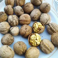 گردوی سفید با کیفیت خیلی خوب
