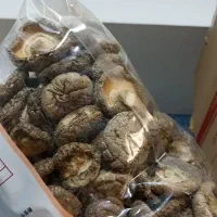 قارچ شیتاکه اصل وارداتی