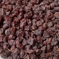 فروش مویز پاک شده و با‌کیفیت بش|خوردنی و آشامیدنی|شیراز, درکی|دیوار