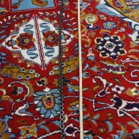 زنجیر واشری