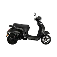 متور برقی. شارژی