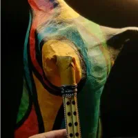 فروش تخصصی ساز بادی نی انبان (نی انبون نی هنبون)