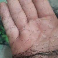 تور ماهیگیری