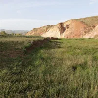 اجاره زمین کشاورزی