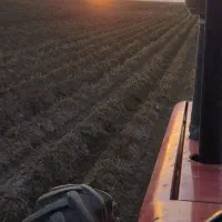 راننده تراکتور هستم