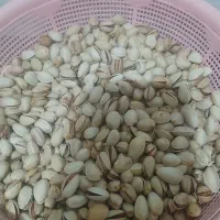 فروش پسته خام،خشک