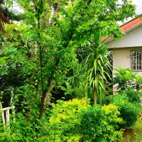 خانه ویلایی کاملا مستقل در لشت نشا