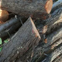 یک ماشین هیزم بادام باغی  خشک