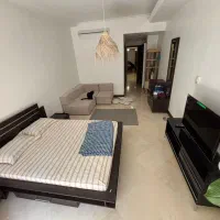 فرمانیه غربی اجاره ۲۵۰ متر فول امکانات|اجارهٔ آپارتمان|تهران, کامرانیه|دیوار