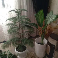 دوگل بلند