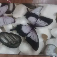 فرش شیک و فانتزی ۱/۵ در ۲/۲۵ متر