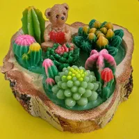 کاکتوسهای فانتزی|کلکسیون و سرگرمی|قم, هنرستان|دیوار