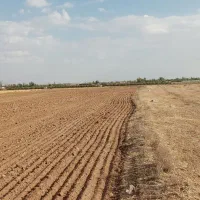 بناب‌کشاورزی‌زمین|فروش زمین و ملک کلنگی|زنجان, |دیوار