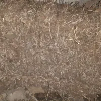 فروش پرس سویاقیمت۱۲۰تومن