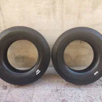 یک جفت لاستیک تیوبلس جینیو