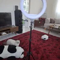 رینگ لایت تمیز
