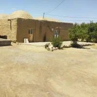 زمین اسفندقه