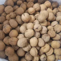 گردوی ارگانیک|خوردنی و آشامیدنی|بوکان, |دیوار