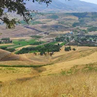 فروش کاه گندم درجه یک