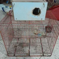 قفس پرنده به همراه لانه واب خوری