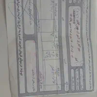 گوشواره طلا|جواهرات|قم, کلهری|دیوار