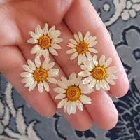 گل بابونه
