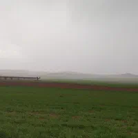 زمین کشاورزی دیم درروستای سه چقا